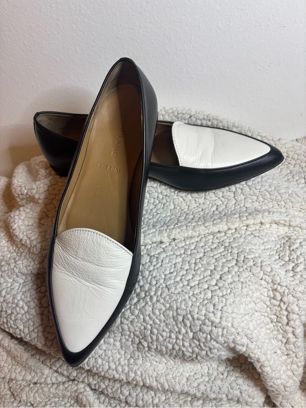 Everlane Black and White Pointed Leather Flats